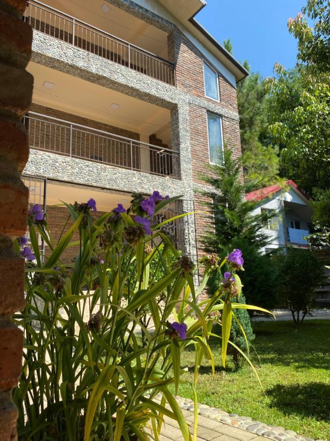 Guest House Shekvetili Exterior photo
