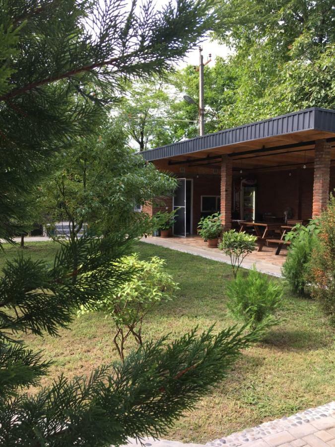 Guest House Shekvetili Exterior photo